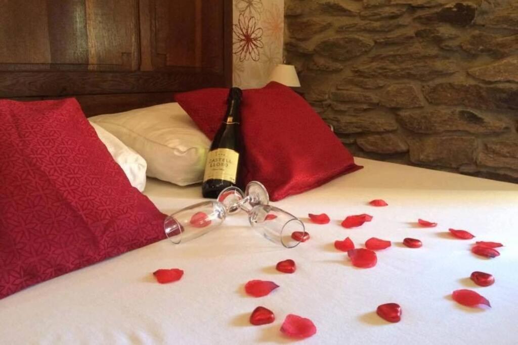 Vieux Logis Een Prachtige Ardeense Vakantiewoning 瑟穆瓦河畔夫雷斯 外观 照片